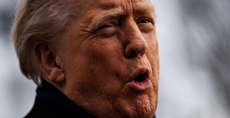 Трампа сравнили с Гринчем — похитителем Рождества