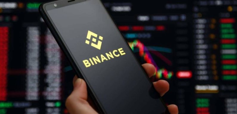 Биржа Binance запустила сервис заработка на криптовалютах для детей