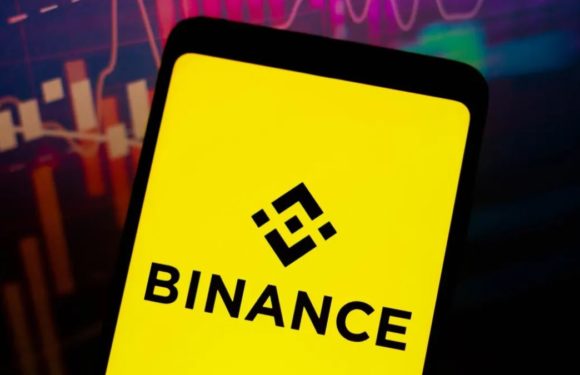 Киргизский стейблкоин KGST бодро стартовал на бирже Binance