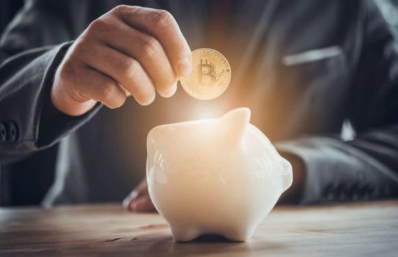 Число биткоин-кошельков с балансом более 0,1 BTC не выросло за два года