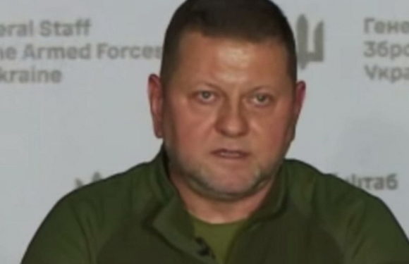 Валерий Залужный намекнул на возращение на Украину и в политику