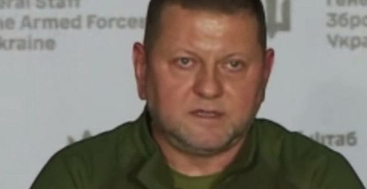 Валерий Залужный намекнул на возращение на Украину и в политику