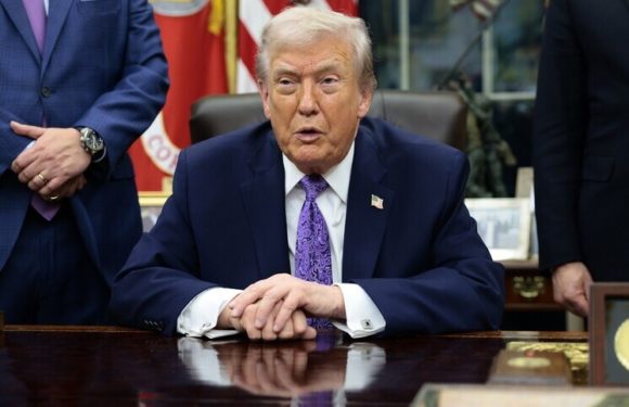 Трамп высказался на счет создания свободной экономической зоне в Донбассе