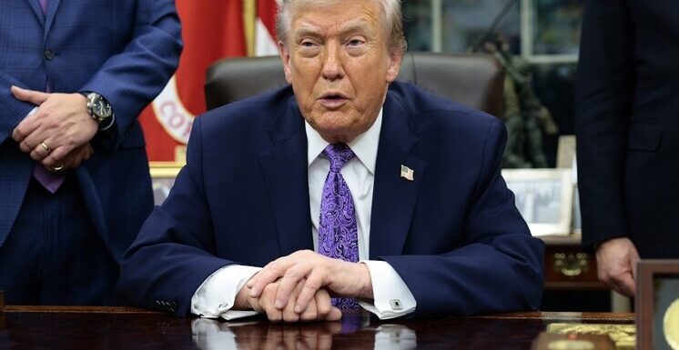 Трамп высказался на счет создания свободной экономической зоне в Донбассе