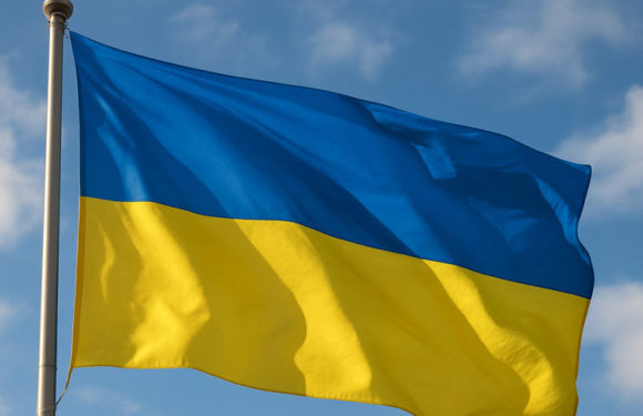 Обсуждают введение спецналога для восстановления Украины