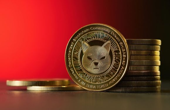 Цена Shiba Inu упала на 66% за год. Есть ли шансы на восстановление?