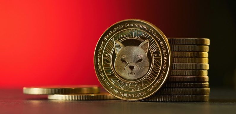 Цена Shiba Inu упала на 66% за год. Есть ли шансы на восстановление?