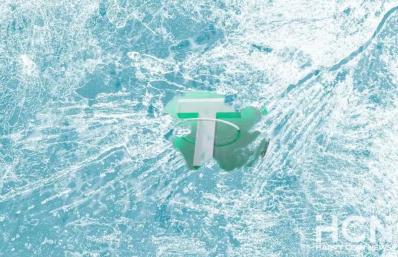 Tether замораживает стейблкоины USDT гораздо чаще, чем Circle