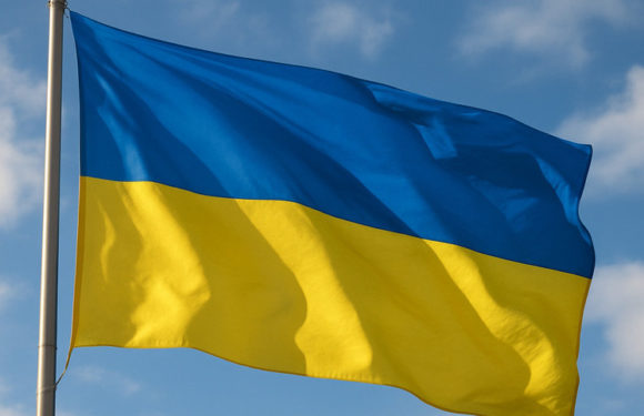 Объяснено, за что на Украине начали критиковать Буданова* после назначения