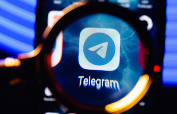 Роскомнадзор опроверг слухи о новых ограничениях для Telegram