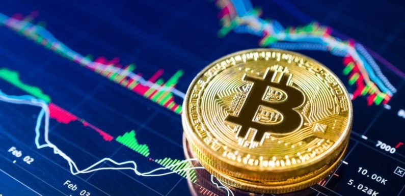 В VanEck составили долгосрочный прогноз на биткоин до 2050 года
