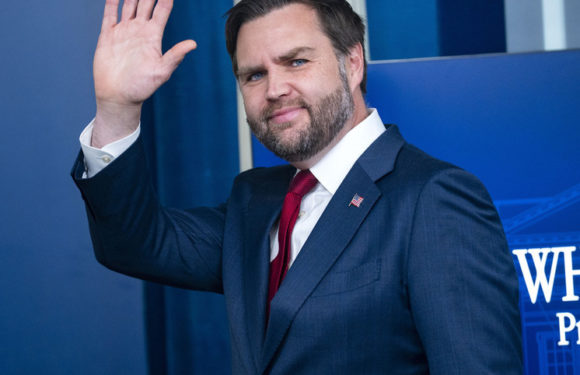 Джей Ди Вэнс: США создадут альянс по добыче критических минералов