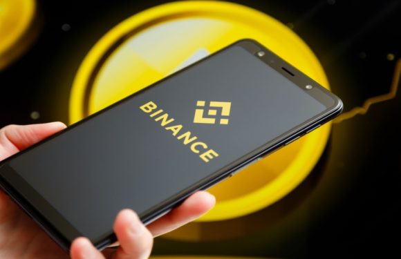 На Binance можно заработать 12,51% годовых за хранение KGST