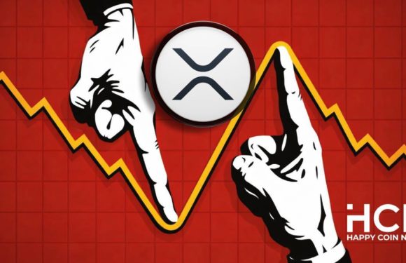 Во время падения крипторынка объём торгов XRP вырос на 74%
