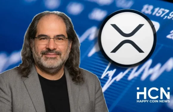 Дэвид Шварц рассказал, что его активы в XRP сократились с 26 млн до 2 млн