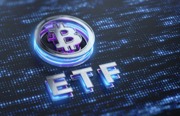 Hashdex прекращает работу спотового биткоин-фонда и возвращает деньги инвесторам