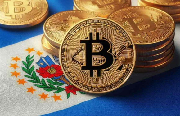 МВФ: власти Сальвадора не использовали госсредства на покупку биткоинов