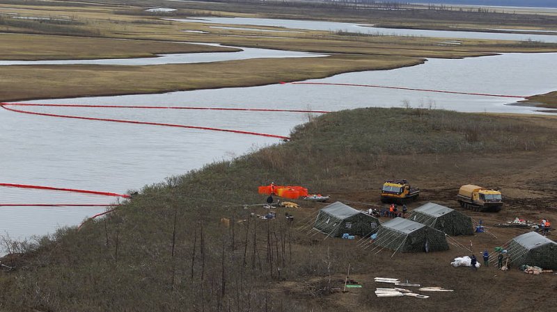&laquo;Норникель&raquo; разводят на рыбу